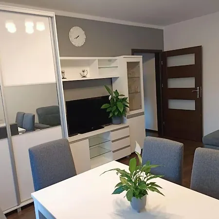 Apartament U Oli I Laury Krakau Exterior foto